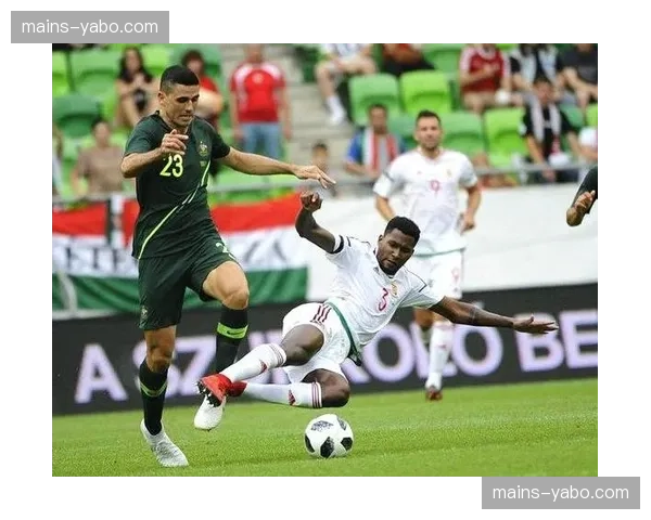 匈牙利主场气势与团队精神 利用球迷支持提升比赛强度与斗志